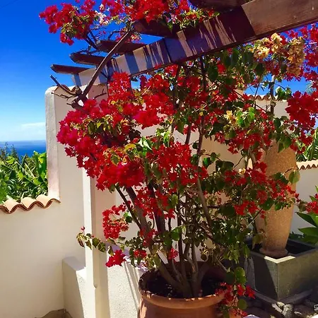 Villamar Paradise Garden