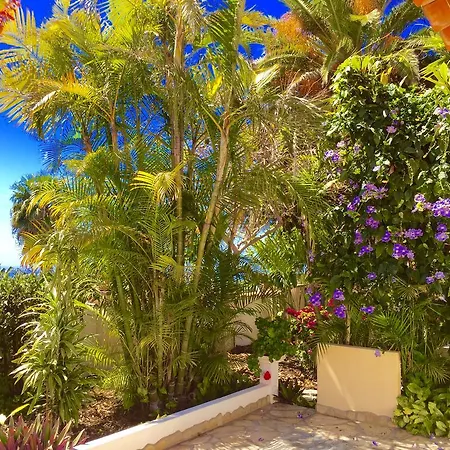 Villamar Paradise Garden