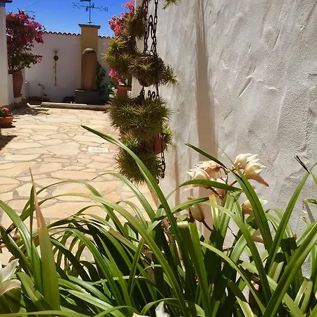 Villamar Paradise Garden Apartment *