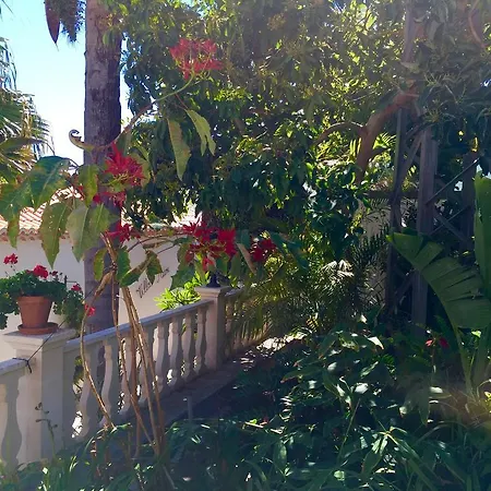 Villamar Paradise Garden * Tazacorte