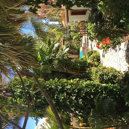 Villamar Paradise Garden * Tazacorte
