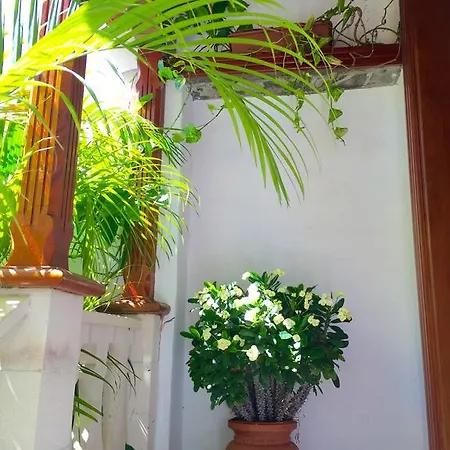 Villamar Paradise Garden Apartment Tazacorte