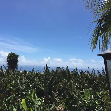 Villamar Paradise Garden